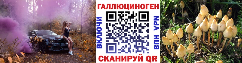 цена наркотик  Нерюнгри  Галлюциногенные грибы GOLDEN TEACHER 